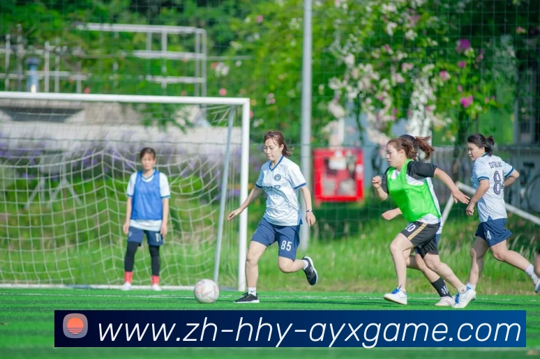 多媒体互动体验