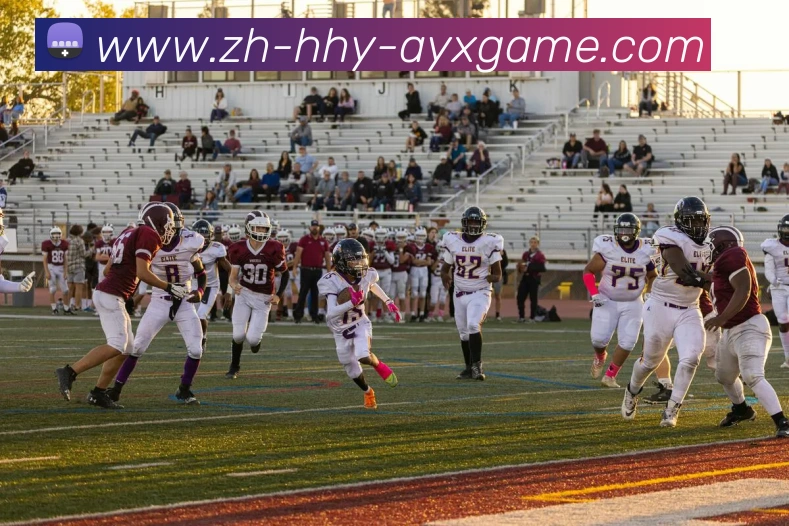 爱游戏APP 高清赛事图